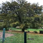 Magnificent In With Balcony Willingen (Upland)