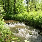 Magnificent In With Balcony Apartment Willingen (Upland)