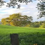 Apartment Magnificent In With Balcony