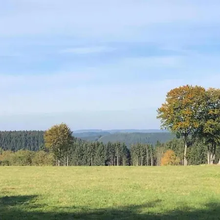 Apartment Magnificent In With Balcony Willingen (Upland)