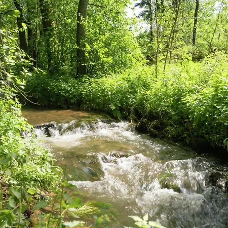 Magnificent In With Balcony Appartement Willingen (Upland)