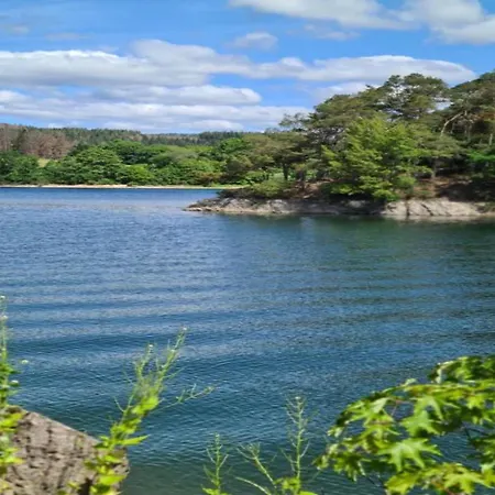 Magnificent In With Balcony Appartement