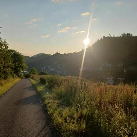 Magnificent In With Balcony Appartement Willingen (Upland)