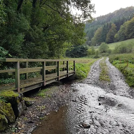 Magnificent In With Balcony Willingen (Upland)