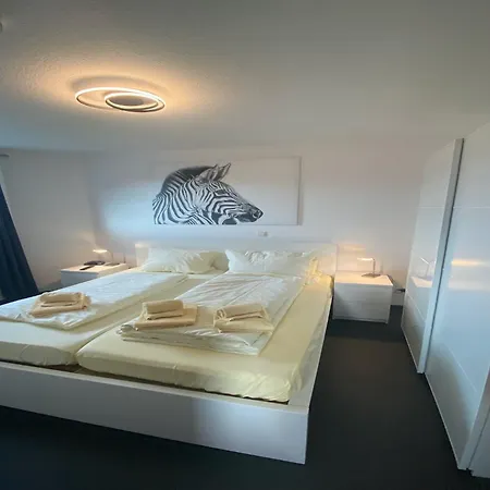 Magnificent In With Balcony Appartement