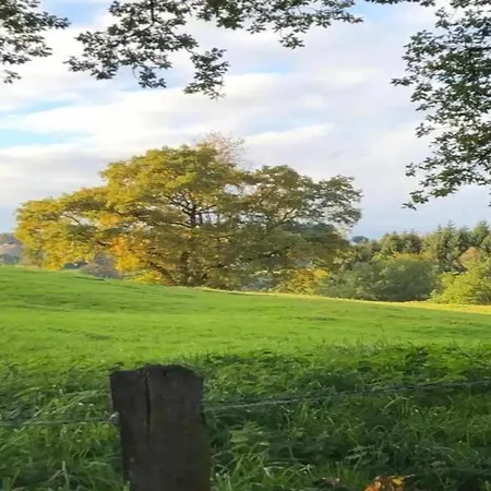 Appartement Magnificent In With Balcony