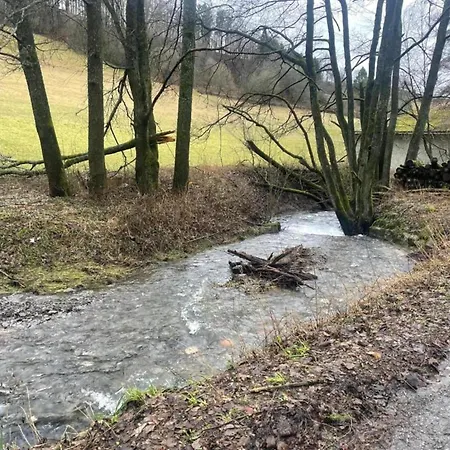 Appartement Magnificent In With Balcony Willingen (Upland)