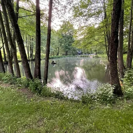 Appartement Magnificent In With Balcony Willingen (Upland)