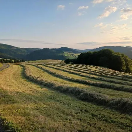 Magnificent In With Balcony Appartement