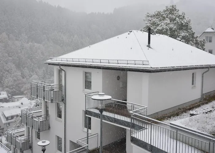Apartment Magnificent In With Balcony Willingen (Upland)