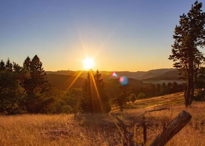 Apartment Magnificent In With Balcony