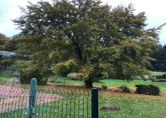 Magnificent In With Balcony Willingen (Upland)