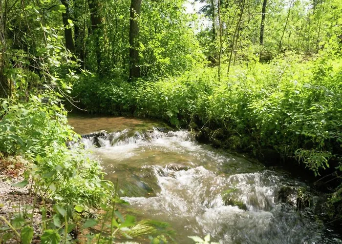 Magnificent In With Balcony Apartment Willingen (Upland)