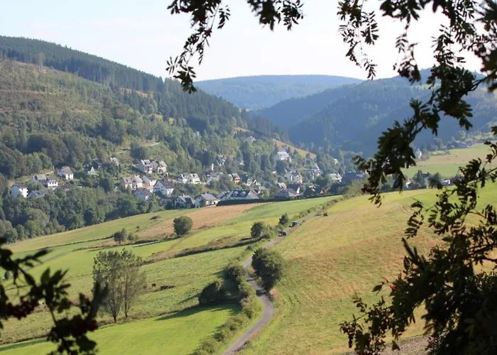 Magnificent In With Balcony * Willingen (Upland)