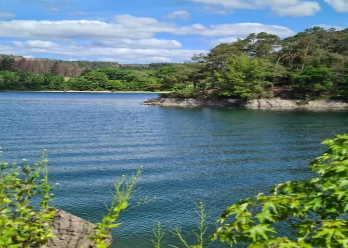 Magnificent In With Balcony Apartment