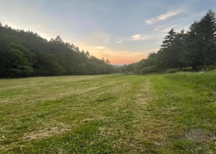 Apartment Magnificent In With Balcony *