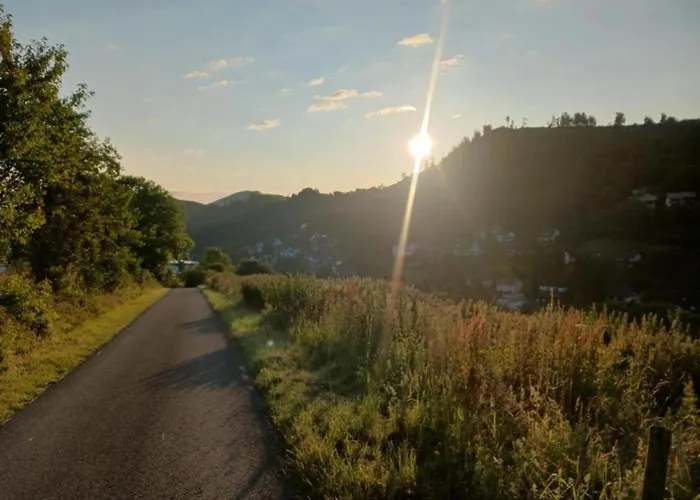 Magnificent In With Balcony Apartment Willingen (Upland)