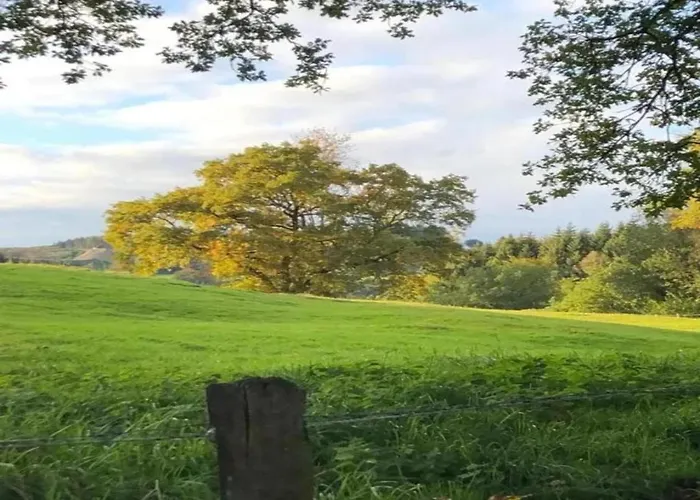 Apartment Magnificent In With Balcony