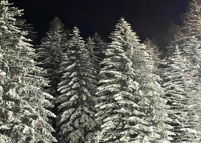 Magnificent In With Balcony *