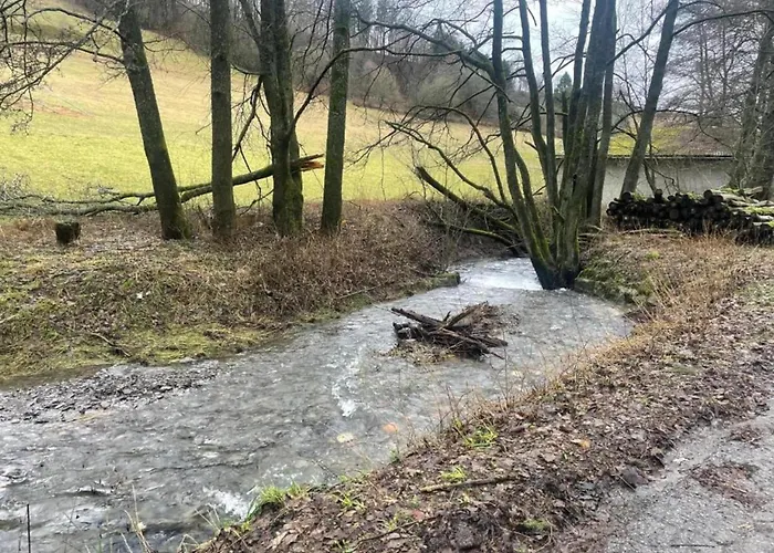 Apartment Magnificent In With Balcony Willingen (Upland)