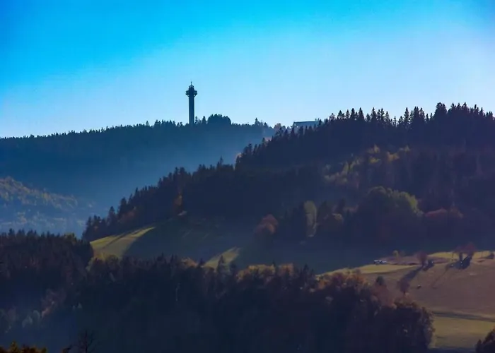 Magnificent In With Balcony Apartment *