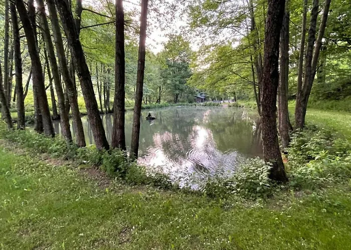 Apartment Magnificent In With Balcony Willingen (Upland)