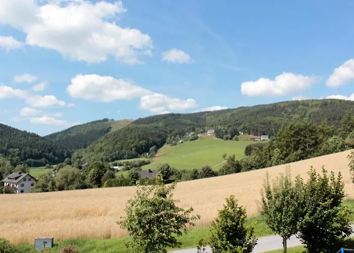 Magnificent In With Balcony * Willingen (Upland)