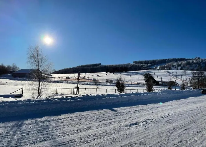 Magnificent In With Balcony Apartment