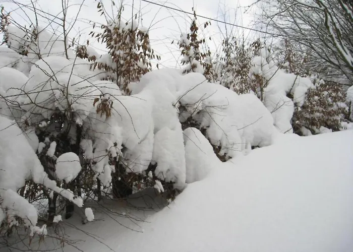 Apartment Magnificent In With Balcony