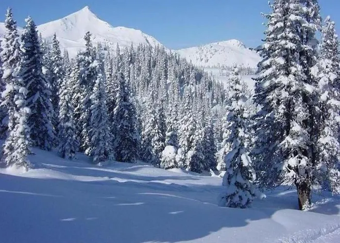 Magnificent In With Balcony Apartment *