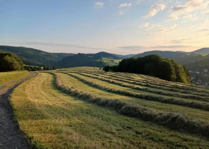 Magnificent In With Balcony Apartment